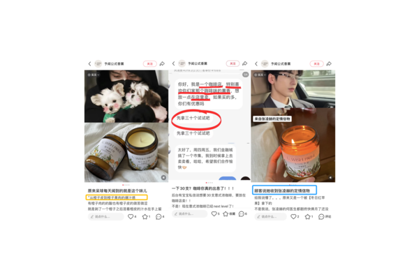小白必看!揭秘小红书白号是什么意思及潜在价值