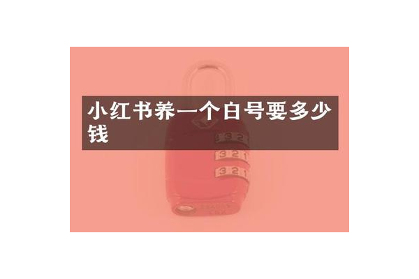 小红书白号多少钱一个？一文带你了解价格详情