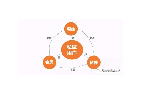 私域流量营销案例深度剖析：策略、成效与启示