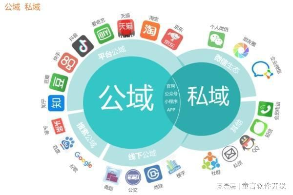 私域与公域:协同共生,解锁流量密码与客户深度运营之道