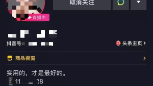 抖音粉丝达到 500 个的那些日子