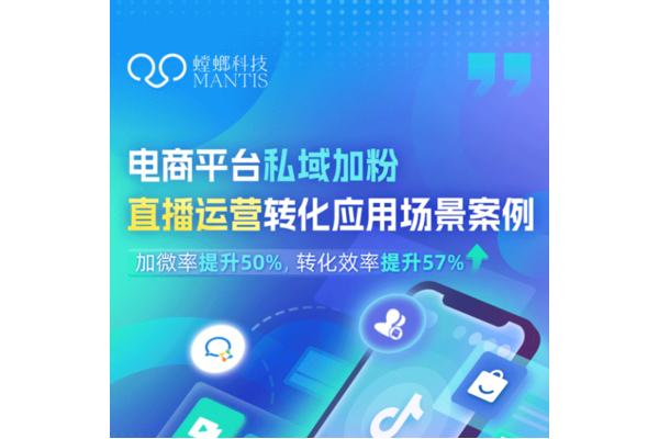 电商私域流量成功案例揭秘：从0到1的客户留存与转化之道