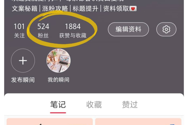 掌握这些秘籍,让你的小红书粉丝量蹭蹭往上涨!