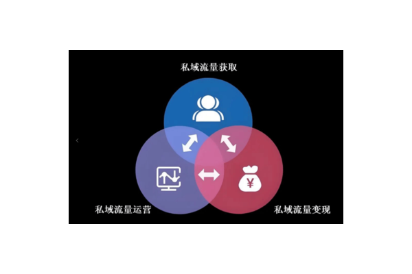 私域流量运营模式：打造可持续增长的用户池
