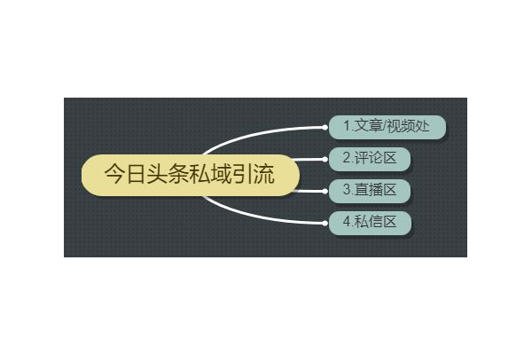 私域引流的几种方式：探索有效途径实现流量增长
