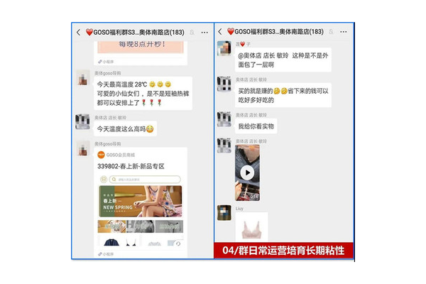 私域流量社群真实案例：[具体案例主体]如何实现流量变现与用户增长