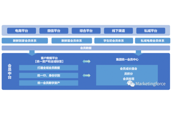 私域精细化运营案例