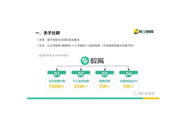 私域ip打造经典案例