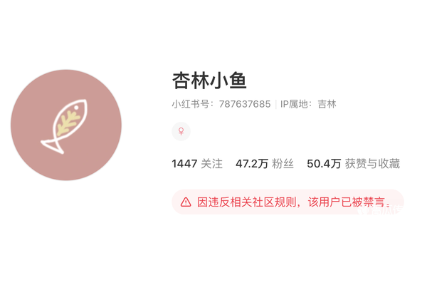 小红书万粉账号价格大揭秘!究竟要花多少钱才能拥有?