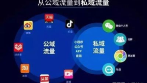 私域app下载攻略大揭秘，轻松获取你的专属应用