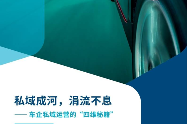 车企私域运营成功案例：看[车企名]如何实现用户深度绑定与销量增长