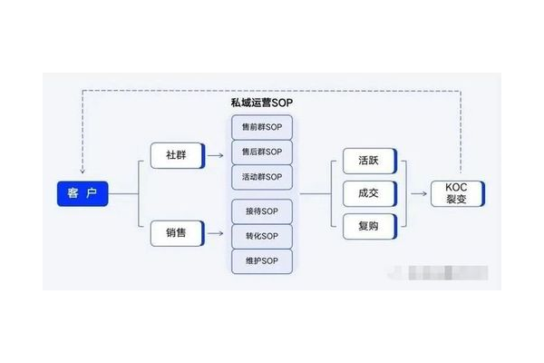 私域运营SOP：构建高效客户运营路径的关键指南