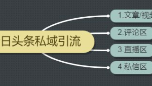 私域引流的高效方式：从内容到活动的多元策略