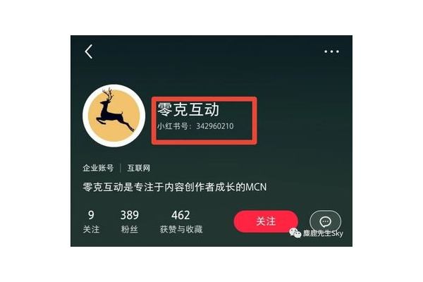 轻松搞定!教你精准进行小红书号查询的实用技巧