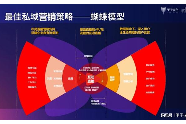 深度剖析:私域流量成功案例背后的策略与关键要点总结