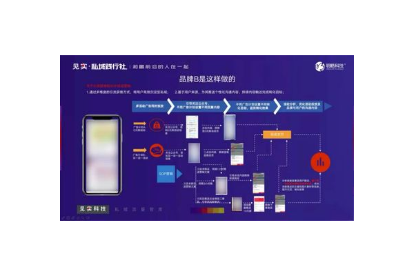 私域流量实战：[品牌名]从0到1的客户增长与转化真实案例